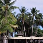 亿万28下载教程:一步步教你轻松上手 34gti1b