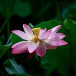 旺财28的成功案例,教你如何致富 a73d8zjn