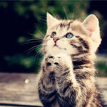 亿万28:如何制定个人理财规划与目标 ah2vc