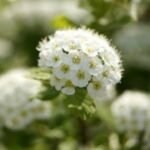 亿万28app的客服支持:遇到问题该如何解决 e48fclkq1q