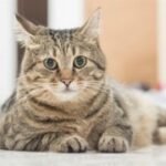 亿万28app的社区交流:分享你的投资故事 exql6