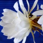 亿万28:成功投资者的心理素质与思维方式 haj0xx