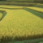 亿万28下载的客户服务,快速解决你的问题 l0i8bt3r25