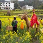 亿万28下载:如何参与线上赛事赢大奖 xk7czgn